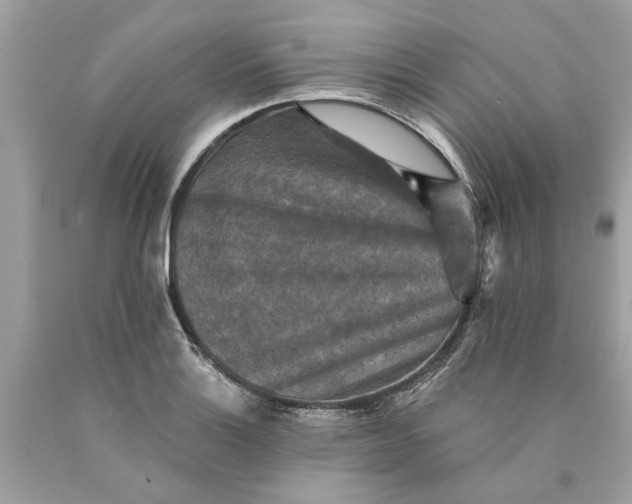 X0000089961132200707201942