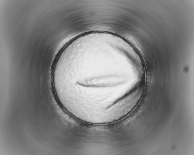 X0000089961133200707201942