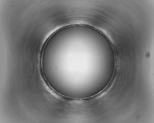 X0000089961134200707201942