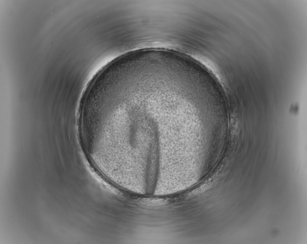 X0000089961135200707201942