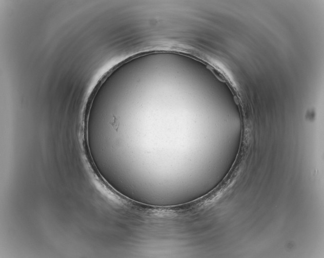 X0000089961136200707201942