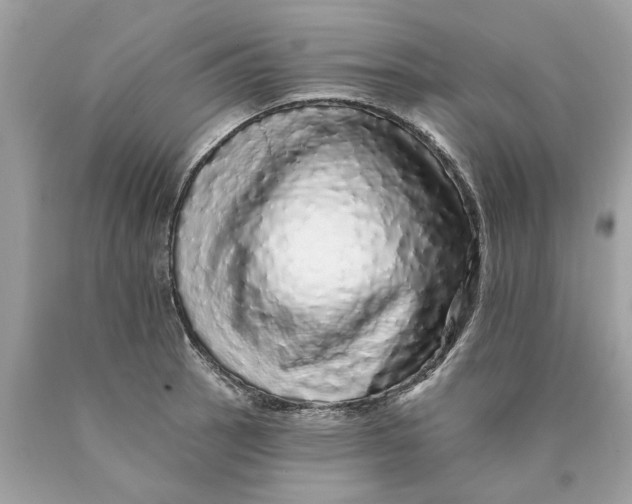 X0000089961137200707201942