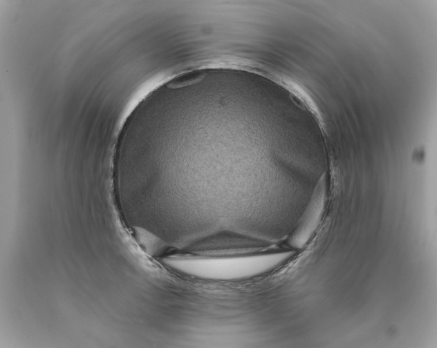 X0000089961138200707201942