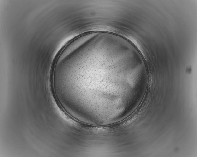 X0000089961139200707201942