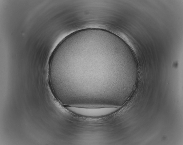 X0000089961140200707201942