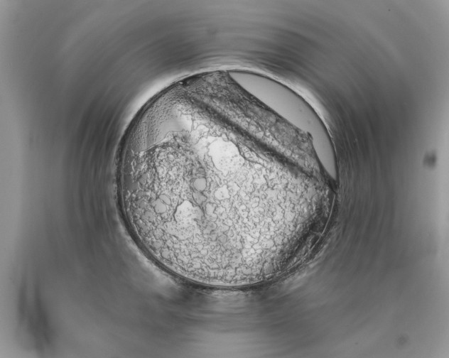 X0000089961142200707201942