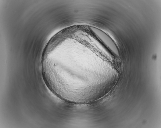 X0000089961143200707201942