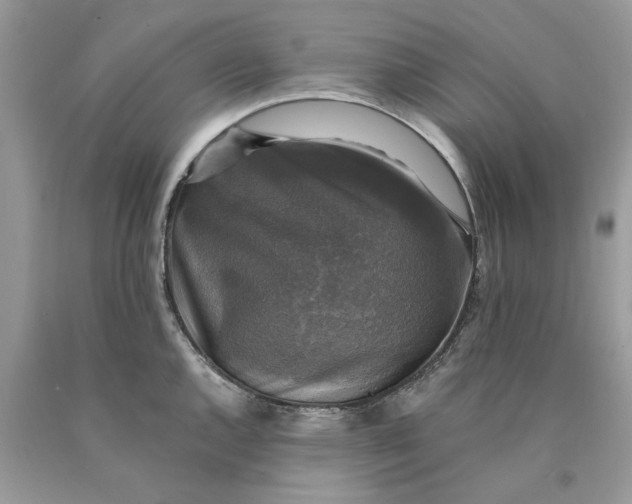 X0000089961144200707201942