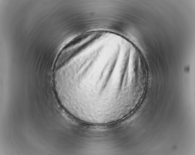 X0000089961145200707201942