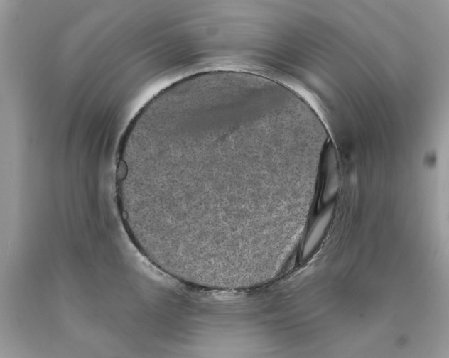 X0000089961147200707201942