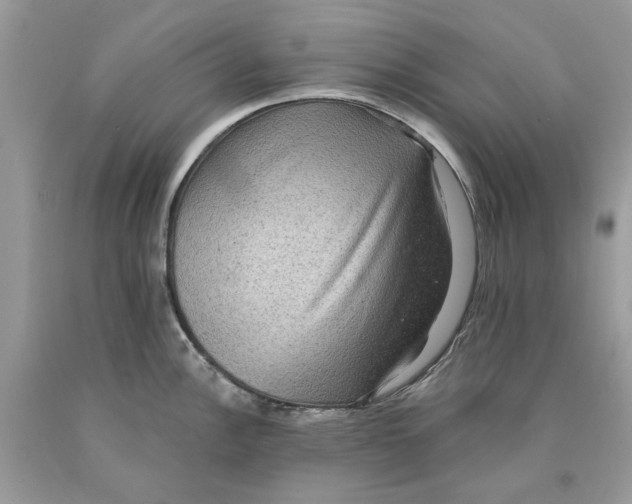 X0000089961148200707201942