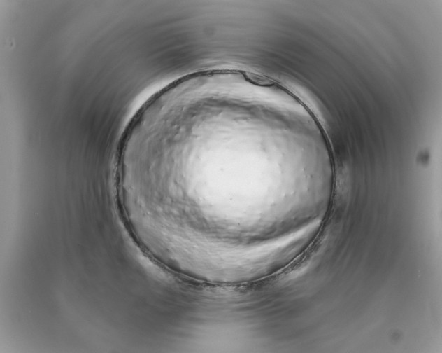 X0000089961149200707201942