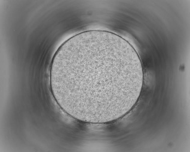 X0000089961150200707201942