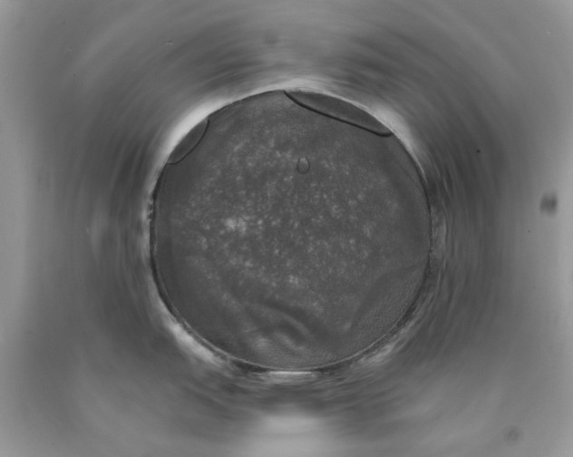 X0000089961151200707201942