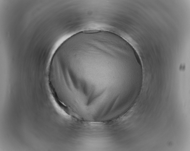 X0000089961152200707201942