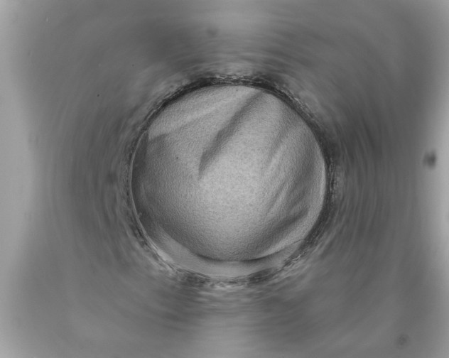 X0000089961153200707201942