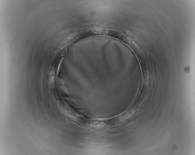 X0000089961154200707201942