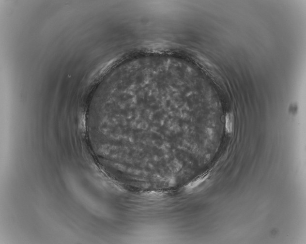 X0000089961155200707201942