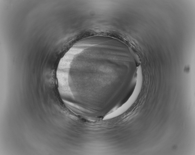 X0000089961156200707201942