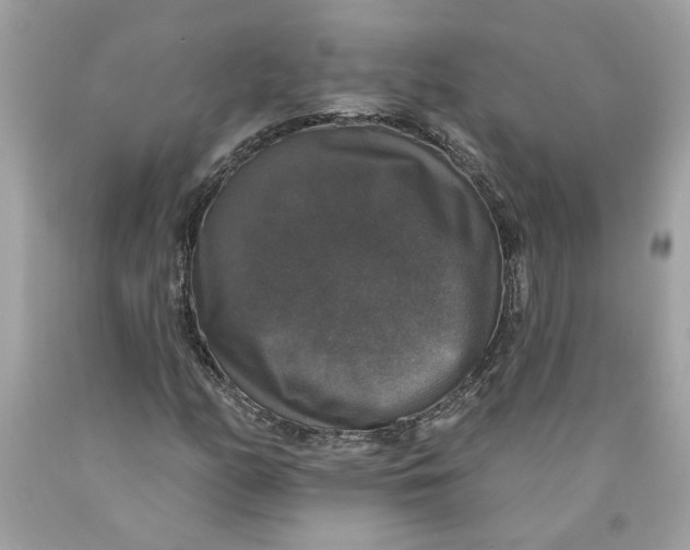 X0000089961158200707201942