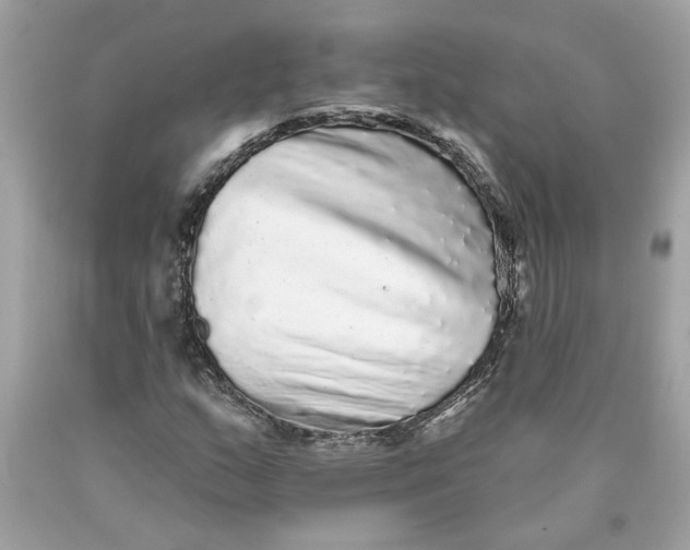 X0000089961159200707201942