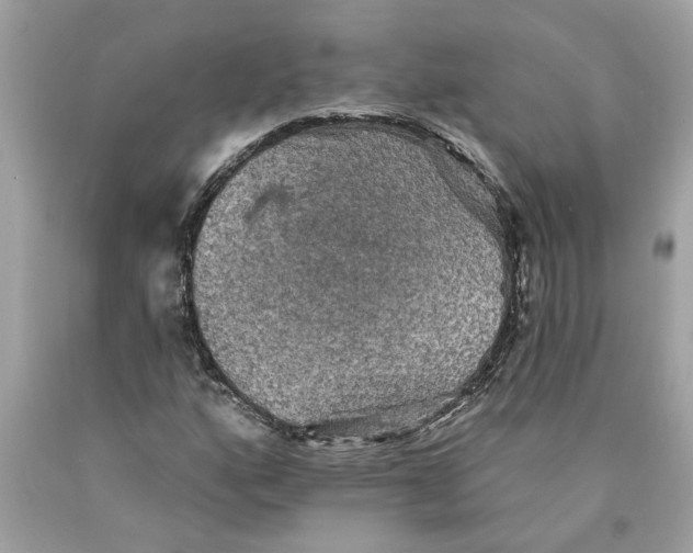 X0000089961160200707201941