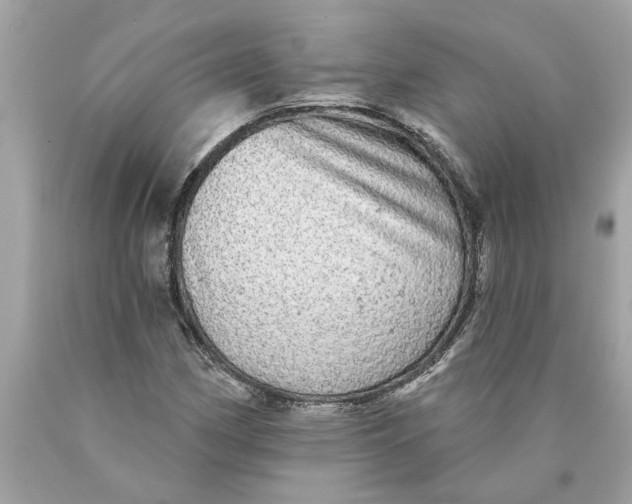 X0000089961162200707201941