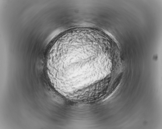 X0000089961163200707201941