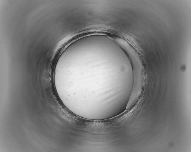 X0000089961164200707201941