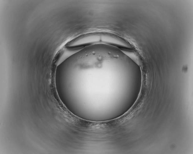 X0000089961165200707201941