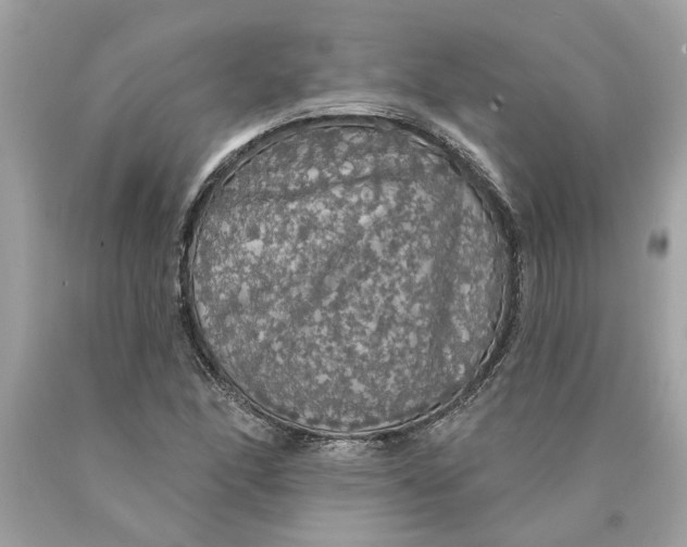 X0000089961166200707201941