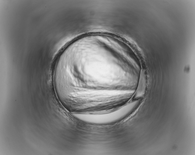 X0000089961167200707201941