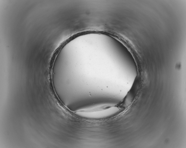 X0000089961168200707201941