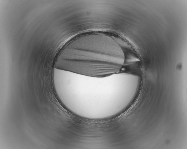 X0000089961169200707201941