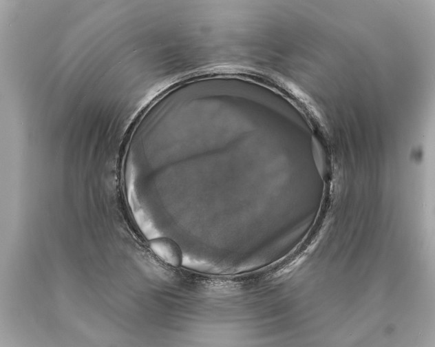 X0000089961170200707201941