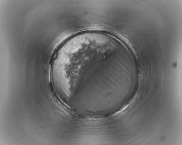 X0000089961171200707201941