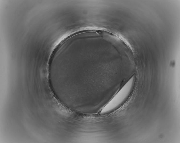 X0000089961173200707201941