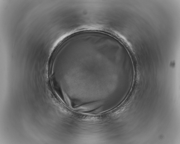 X0000089961174200707201941