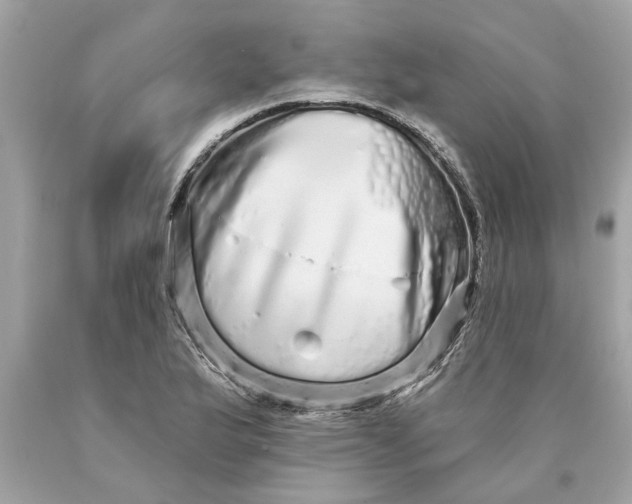 X0000089961175200707201941