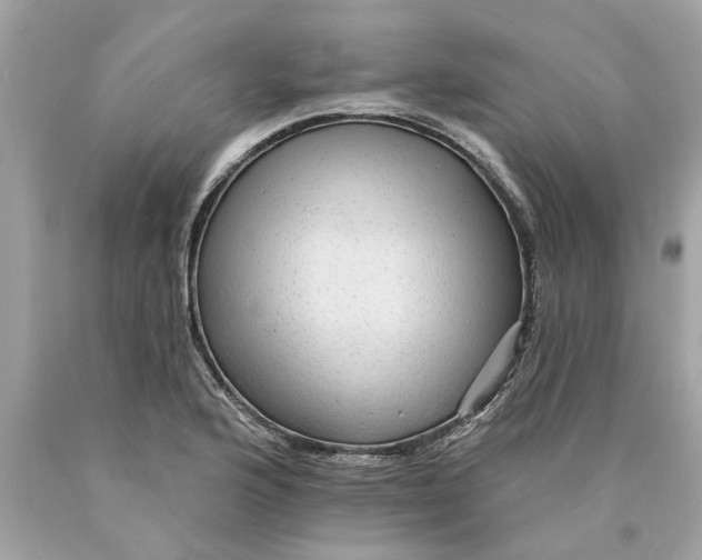 X0000089961176200707201941