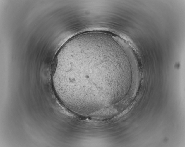 X0000089961177200707201941