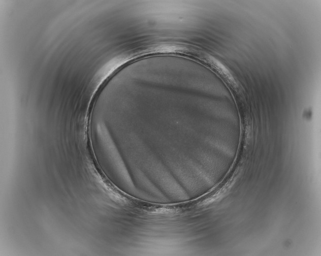 X0000089961178200707201941