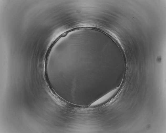 X0000089961179200707201941