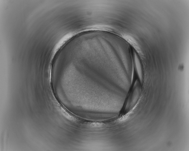 X0000089961180200707201941