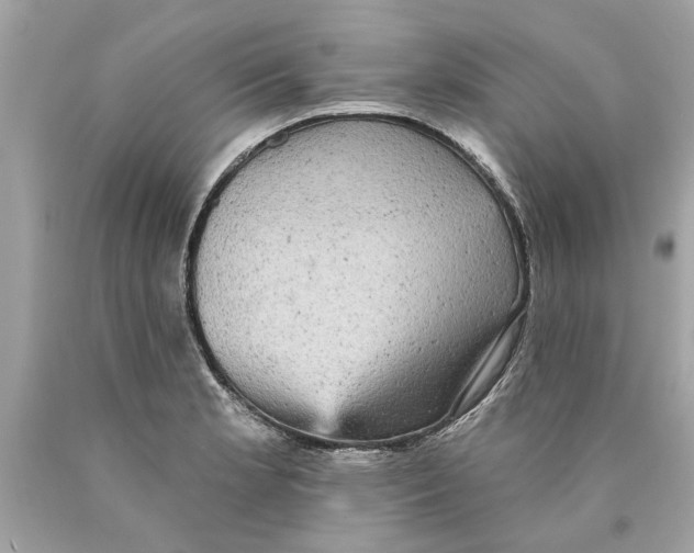 X0000089961181200707201941