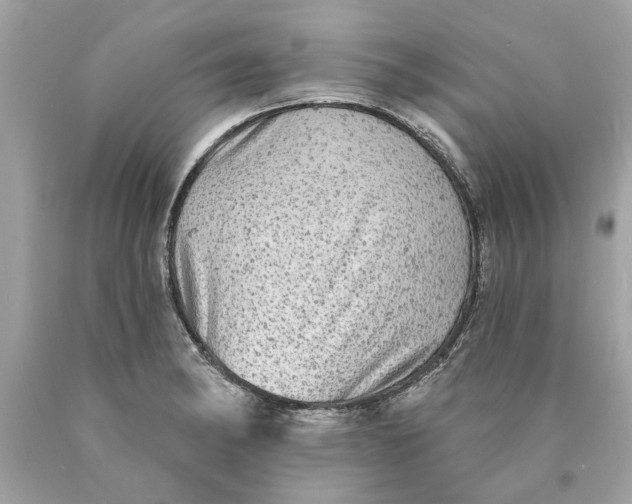 X0000089961182200707201941