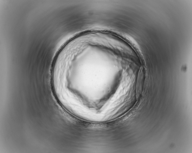 X0000089961183200707201941