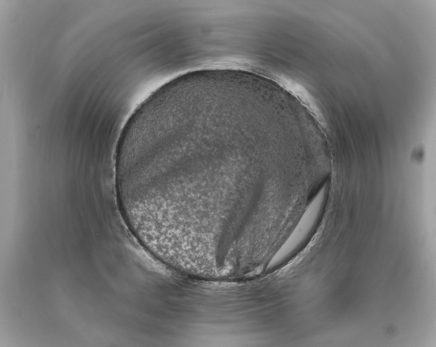 X0000089961184200707201941