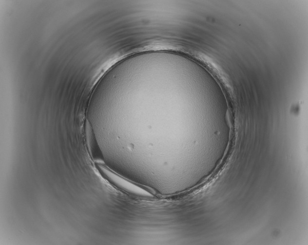 X0000089961185200707201941