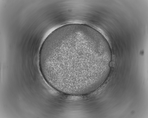 X0000089961187200707201941